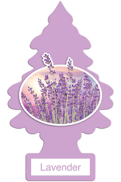 Little Trees Lavender - Lavanda